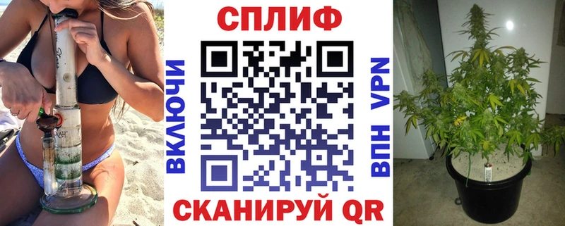 Купить наркотики сайты Северск Alpha-PVP ГАШ COCAIN