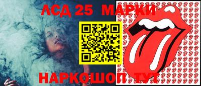 стафф Обнинск