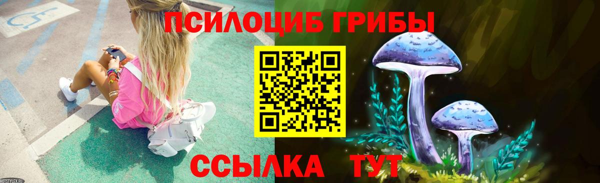 Псилоцибиновые грибы прущие грибы  Псилоцибиновые грибы Cubensis  Северск  Вход с VPN 