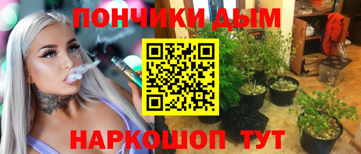 Шишки марихуана Bruce Banner Северск